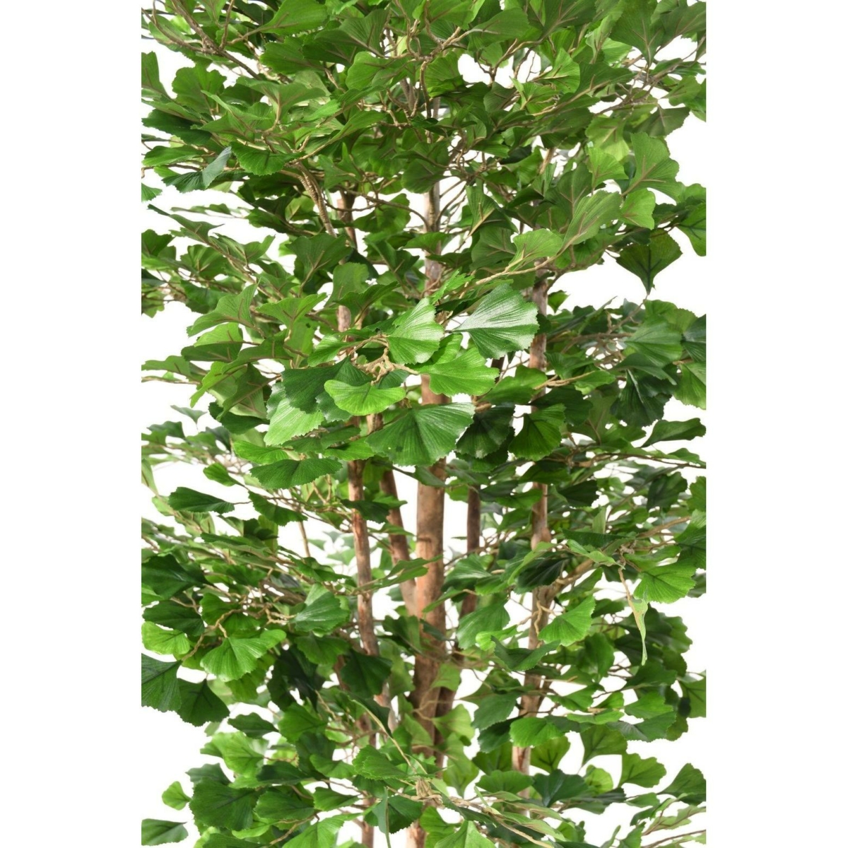 Ginkgo Biloba artificiel 180 cm – Image 3