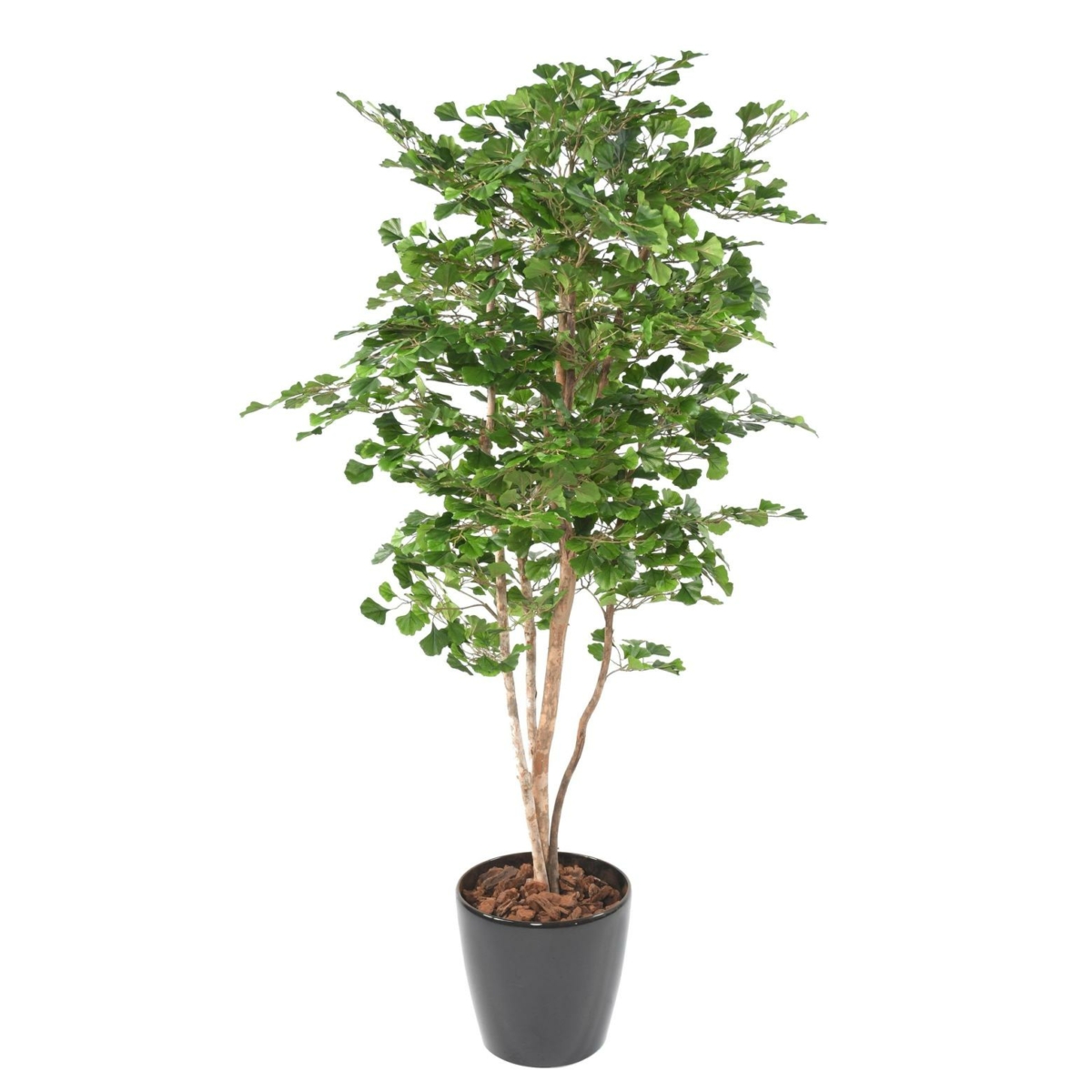 Ginkgo Biloba artificiel 180 cm – Image 4