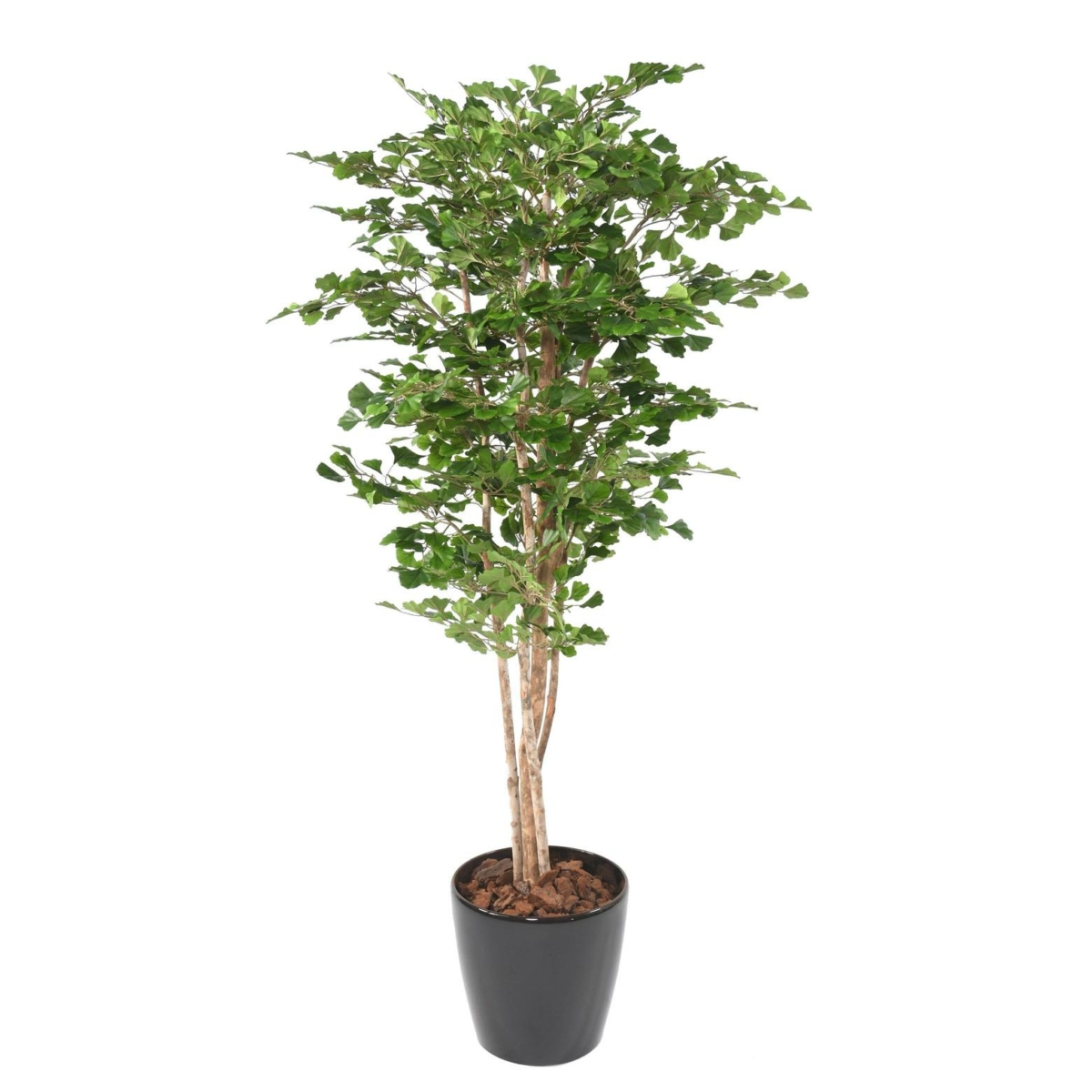 Ginkgo Biloba artificiel 180 cm – Image 5