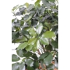Schefflera exotica buisson artificiel 90 cm – Image 2