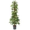 Pothos tuteur artificiel 130 cm
