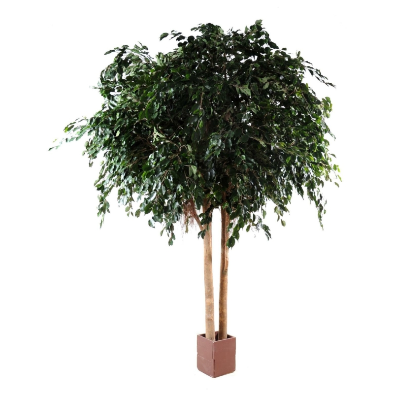 Ficus exotica géant artificiel