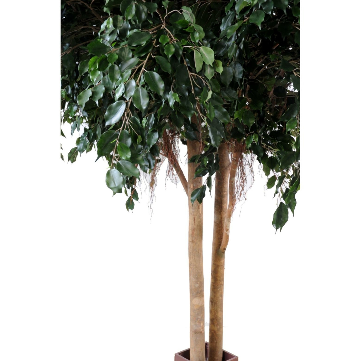 Ficus exotica géant artificiel – Image 3