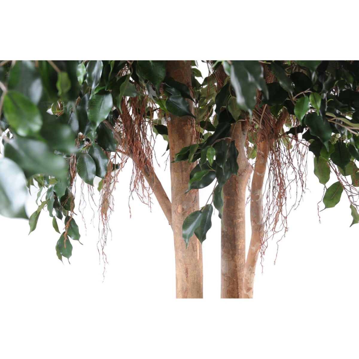 Ficus exotica géant artificiel – Image 5