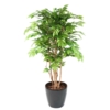 Charme artificiel 150 cm – Image 2