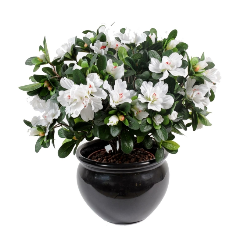 Azalée artificielle blanche 35 cm