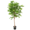 Hêtre grandifolia artificiel – Image 2