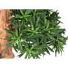 Podocarpus nuage artificiel 150 cm – Image 4