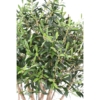 Olivier topping arbre artificiel 165 cm – Image 4