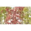 Aralia artificiel vert 210 cm - résistant aux UV – Image 5