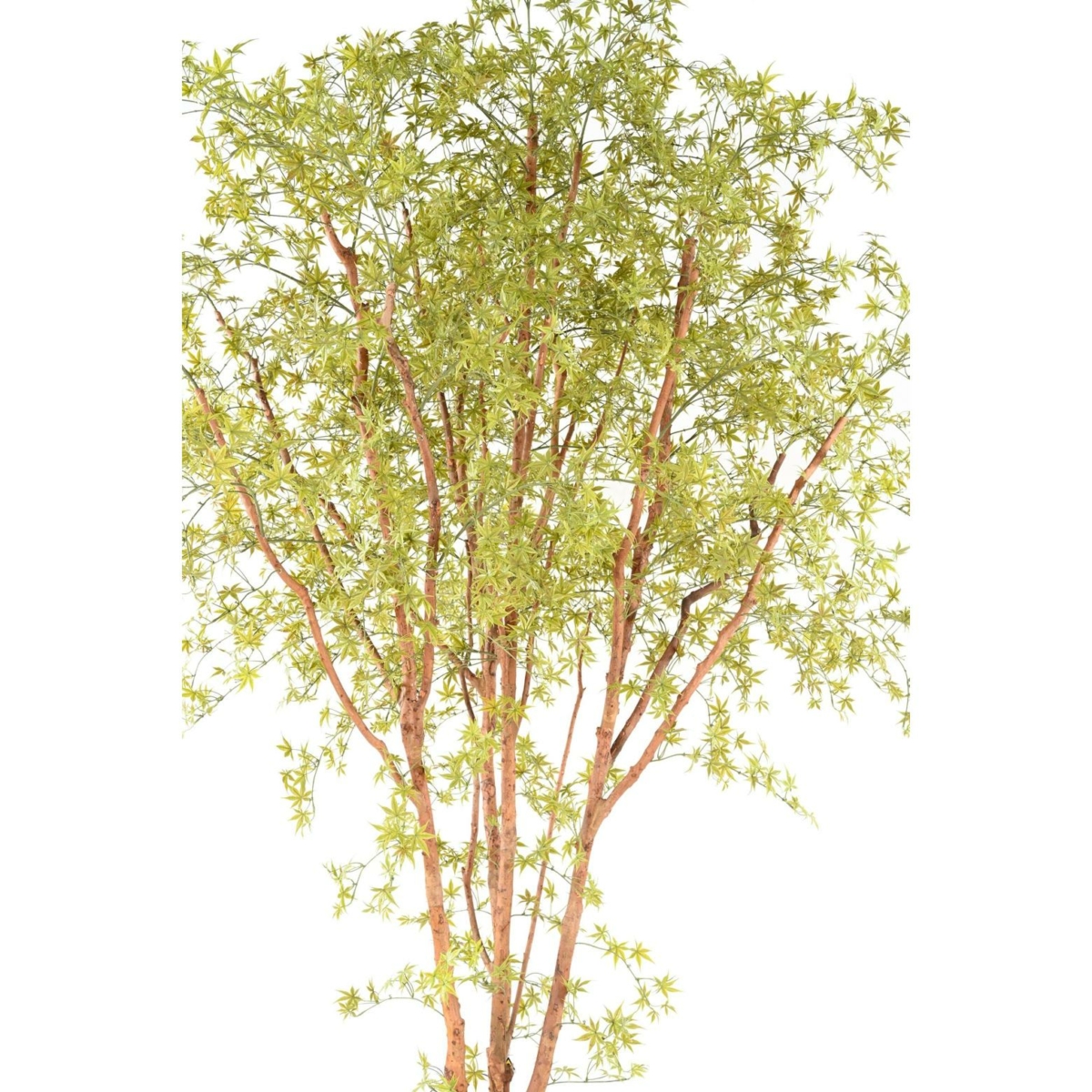 Aralia arbre artificiel vert 340 cm - résistant aux UV – Image 10