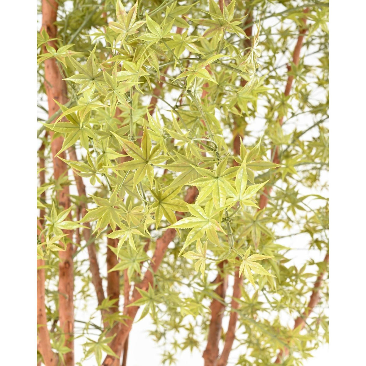Aralia arbre artificiel vert 340 cm - résistant aux UV