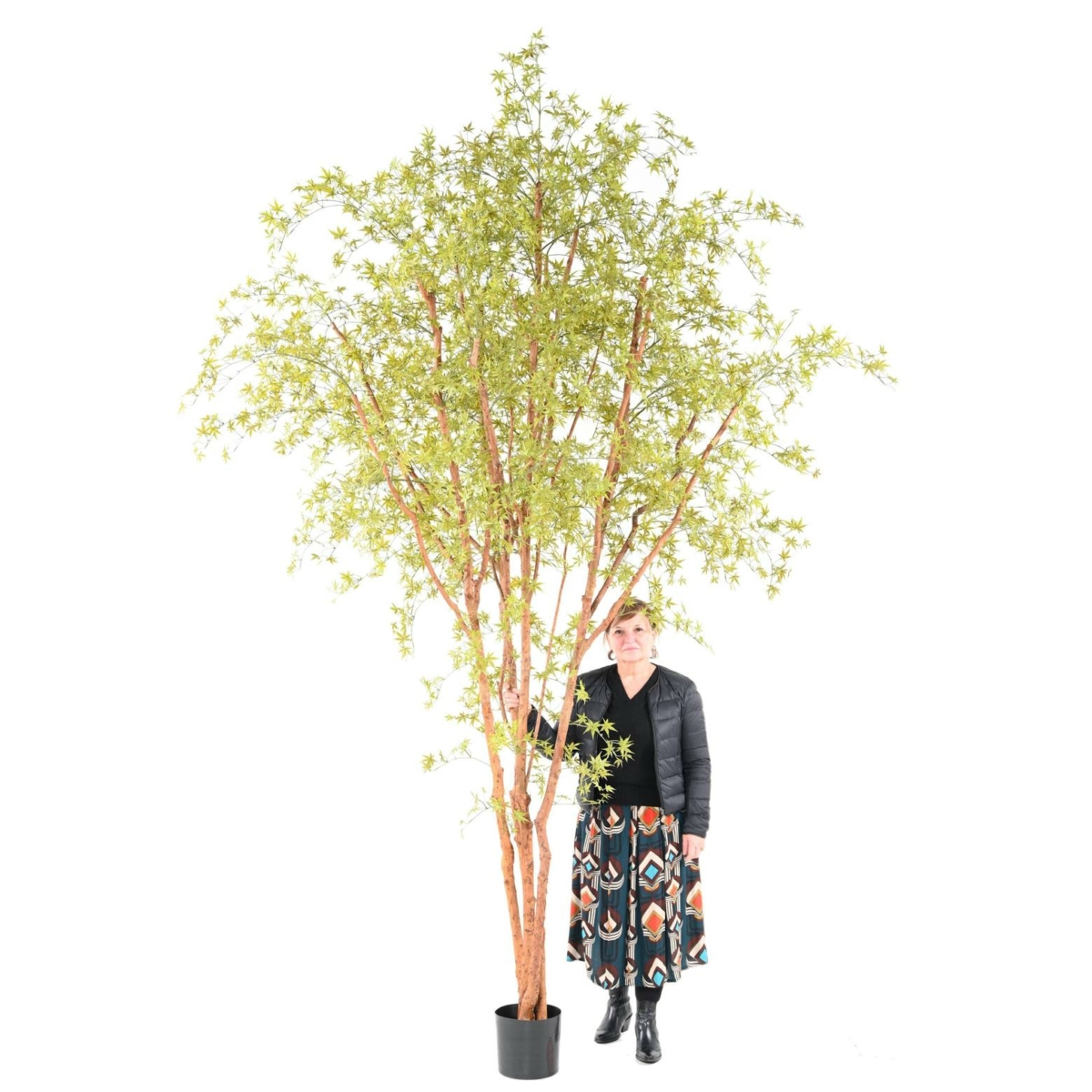 Aralia arbre artificiel vert 340 cm - résistant aux UV – Image 2