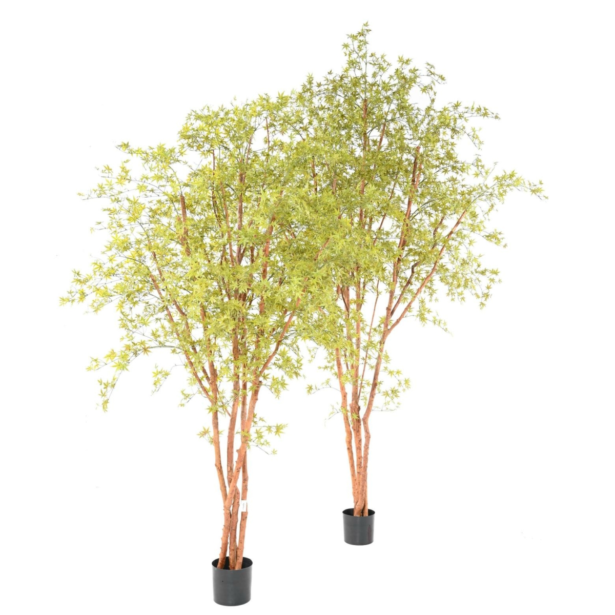 Aralia arbre artificiel vert 340 cm - résistant aux UV – Image 3