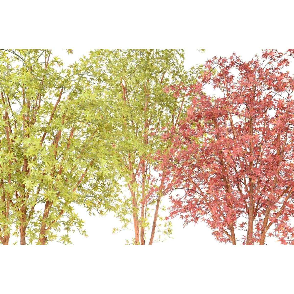 Aralia arbre artificiel vert 340 cm - résistant aux UV – Image 6