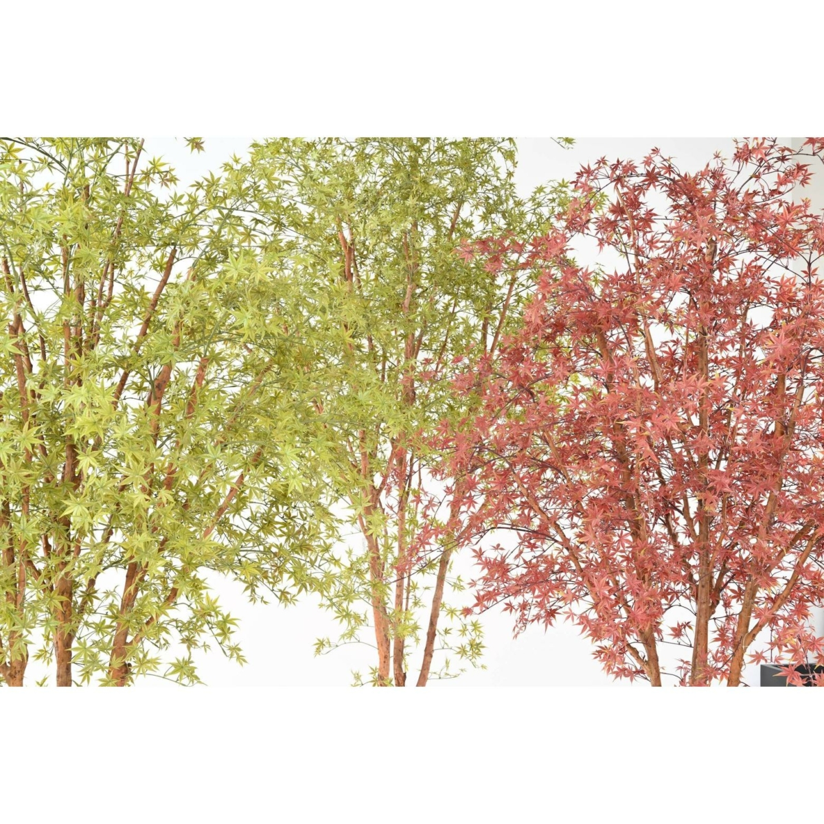 Aralia arbre artificiel vert 340 cm - résistant aux UV – Image 7