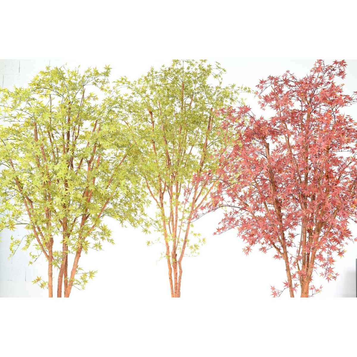 Aralia arbre artificiel vert 340 cm - résistant aux UV – Image 8