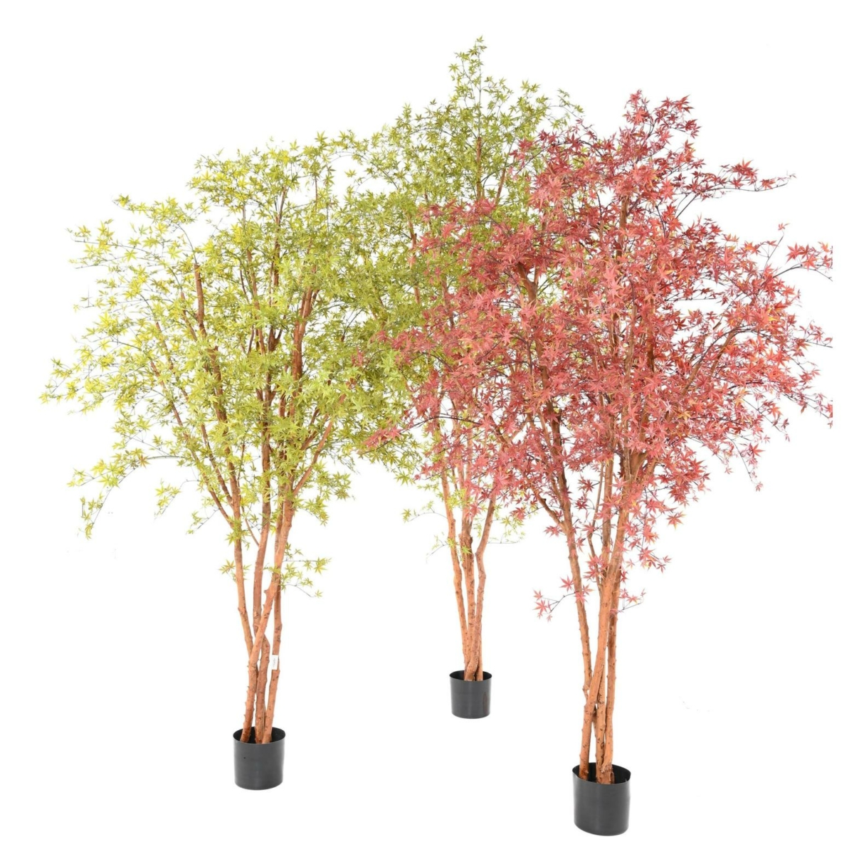 Aralia arbre artificiel vert 340 cm - résistant aux UV – Image 9