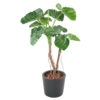 Alocasia calidora 2 troncs artificiel 130 cm – Image 2