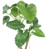 Alocasia calidora 2 troncs artificiel 130 cm – Image 3