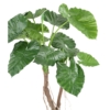 Alocasia calidora 2 troncs artificiel 130 cm – Image 4