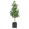 Ginkgo Biloba arbre artificiel 290 cm – Image 2