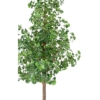 Ginkgo Biloba arbre artificiel 290 cm – Image 3