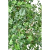 Ginkgo Biloba arbre artificiel 290 cm – Image 4