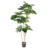 Fatsia japonica arbre artificiel