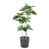 Fatsia japonica arbre artificiel – Image 2