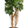 Schefflera petit arbre artificiel 150 cm – Image 3
