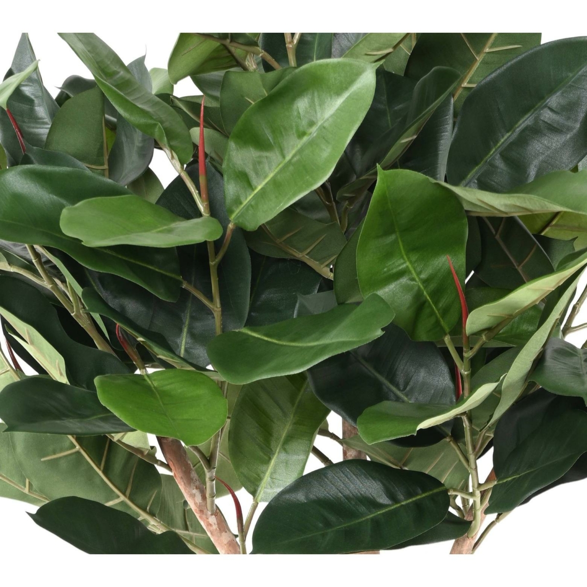 Ficus elastica tête artificiel 160 cm – Image 5