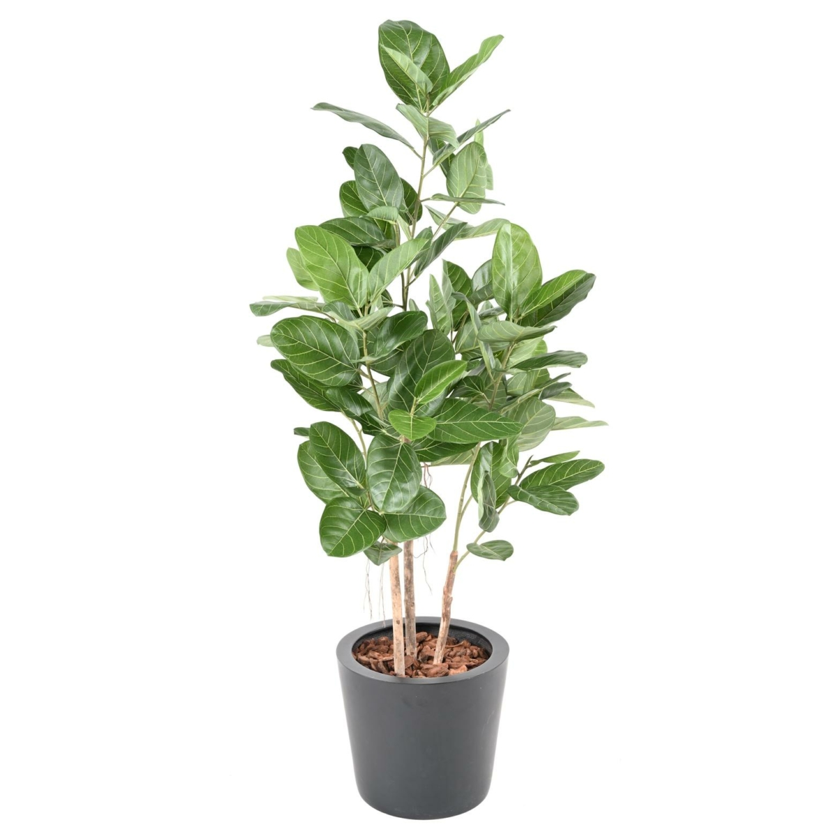 Ficus audrey artificiel 150 cm – Image 2