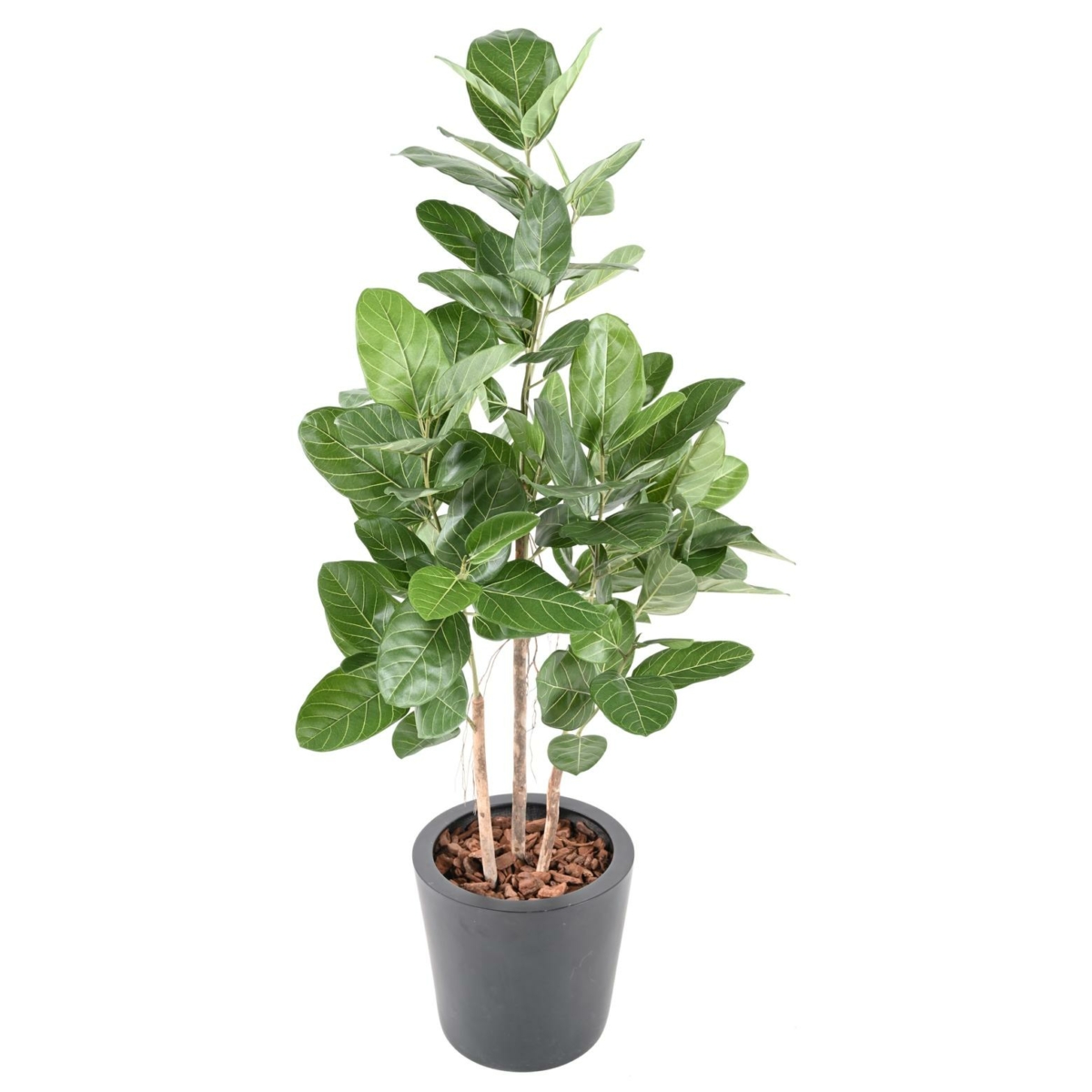 Ficus audrey artificiel 150 cm – Image 3