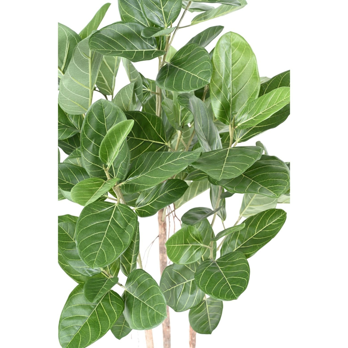 Ficus audrey artificiel 150 cm – Image 4