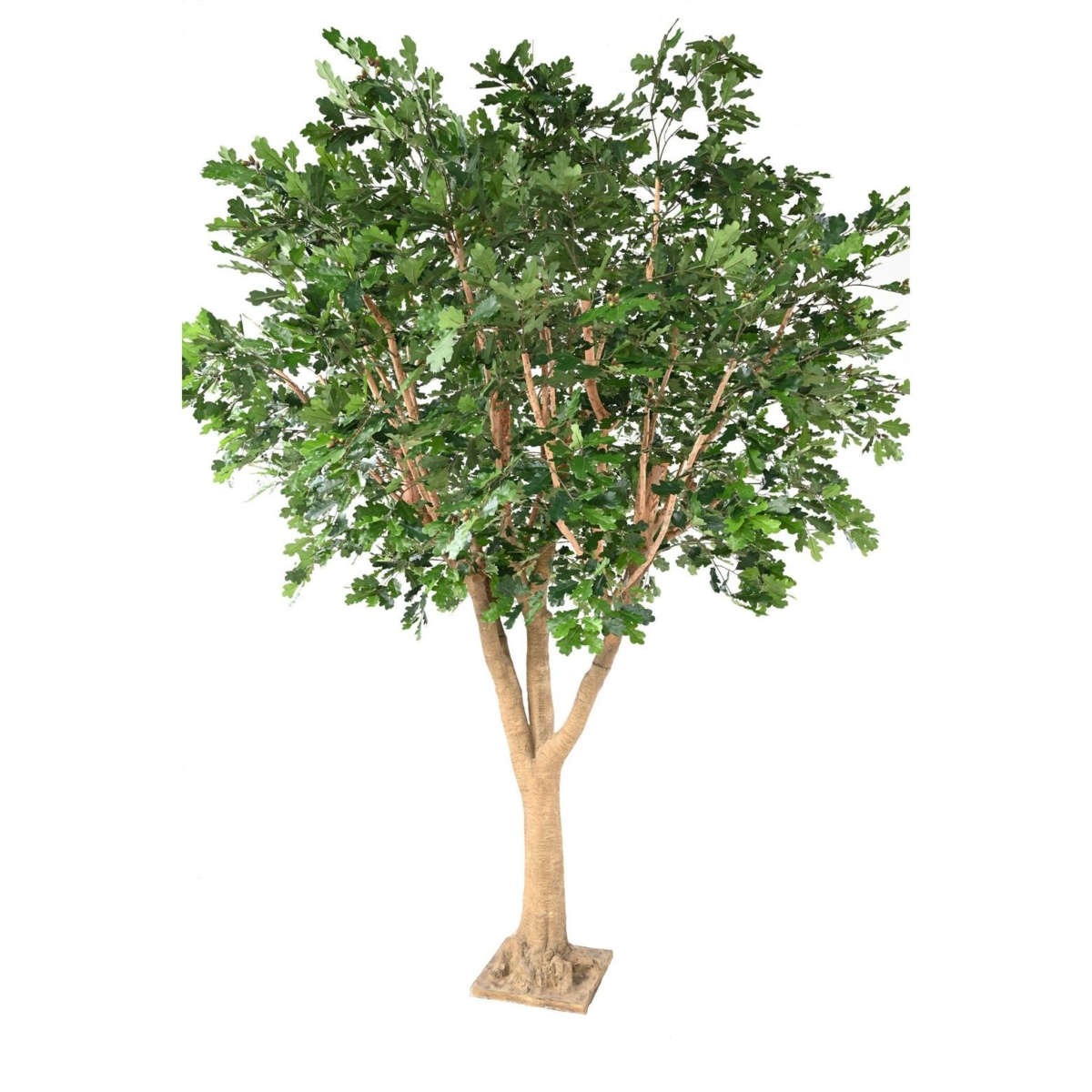 Chêne artificiel – Image 2