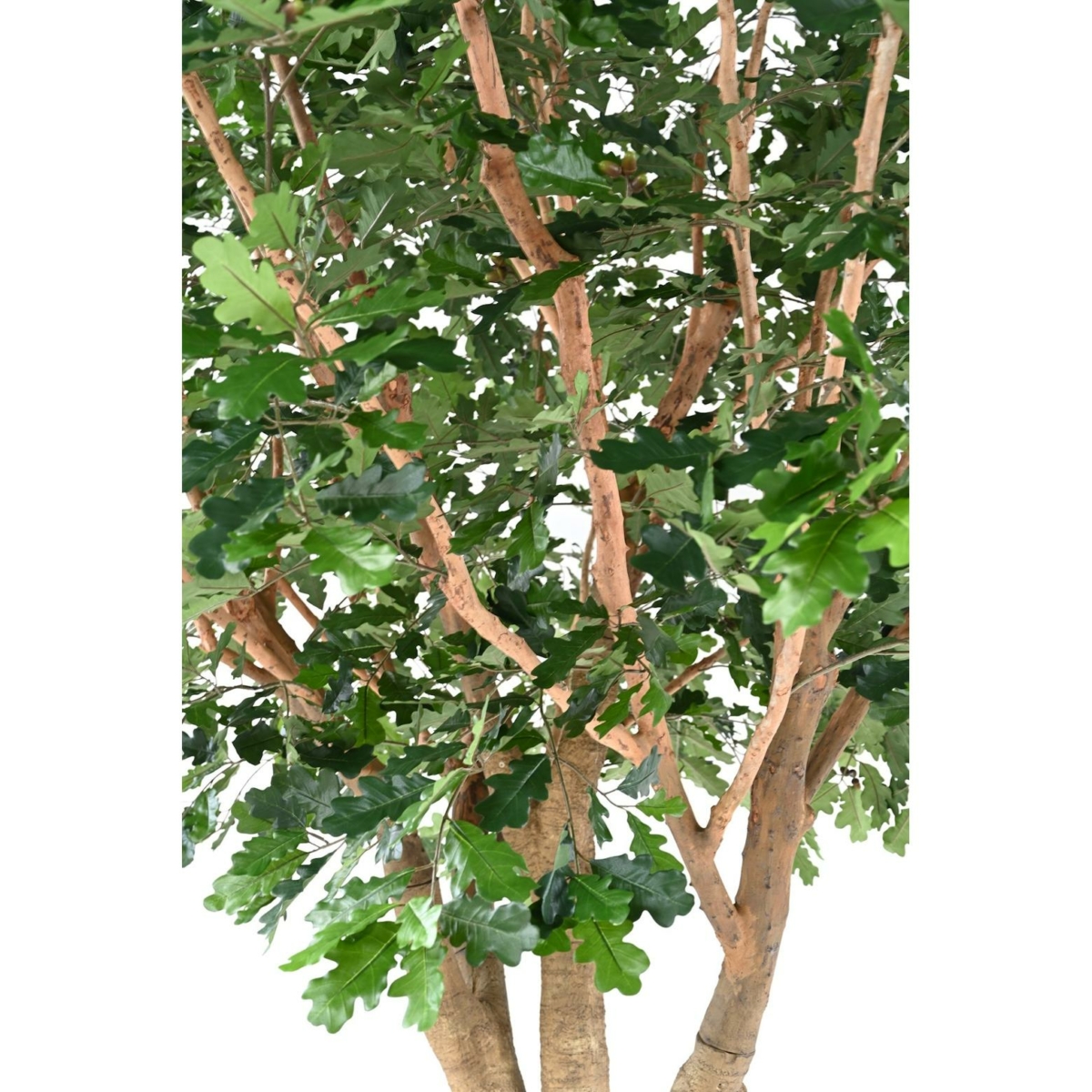 Chêne artificiel – Image 4
