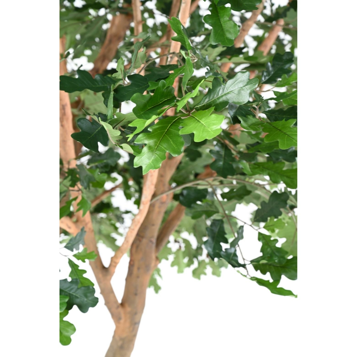 Chêne artificiel – Image 5