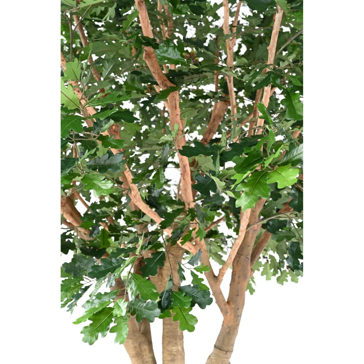 Chêne artificiel – Image 6