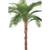 Palmier phoenix canariensis artificiel 370 cm – Image 3