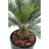 Cycas artificiel – Image 2