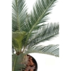 Cycas artificiel – Image 3