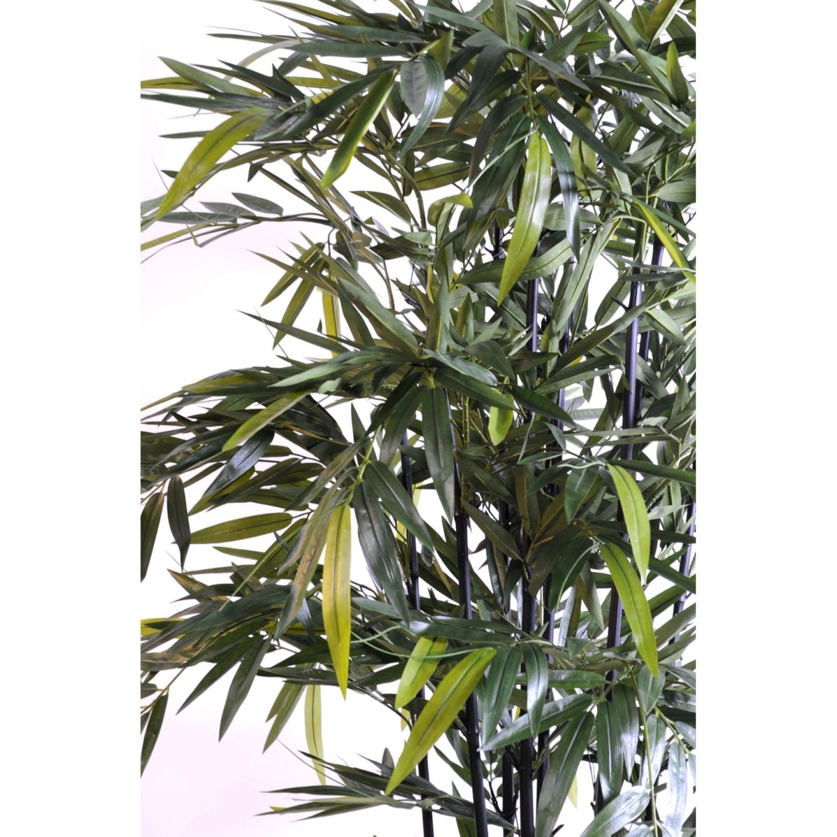 Bambou black natural artificiel – Image 2