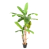 Bananier arbre avec fruits artificiel 180 cm