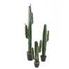 Cactus cereus artificiel