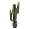 Cactus cereus artificiel – Image 2
