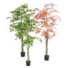 Aralia artificiel