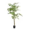 Aralia artificiel – Image 2