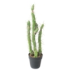 Cactus finger artificiel
