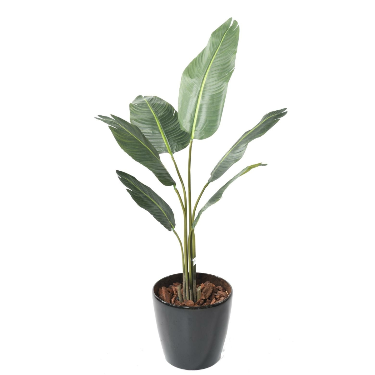 Arbre du voyageur artificiel – Image 2